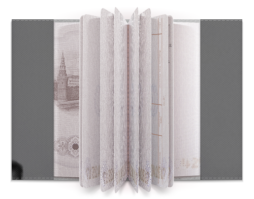 Заказать обложку для паспорта в Москве. Обложка для паспорта Monster? от ocogn07coy12@yandex.ru - готовые дизайны и нанесение принтов.