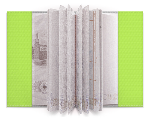Заказать обложку для паспорта в Москве. Обложка для паспорта Котик Мяу от MariYang  - готовые дизайны и нанесение принтов.