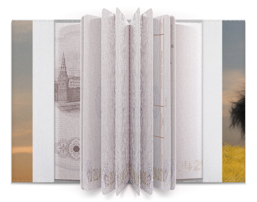 Заказать обложку для паспорта в Москве. Обложка для паспорта Сивый от Arrow92 - готовые дизайны и нанесение принтов.