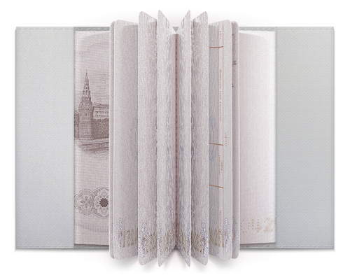 Заказать обложку для паспорта в Москве. Обложка для паспорта Кисти от FireFoxa - готовые дизайны и нанесение принтов.