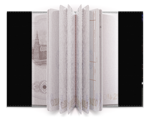 Заказать обложку для паспорта в Москве. Обложка для паспорта Конор МакГрегор от skynatural - готовые дизайны и нанесение принтов.