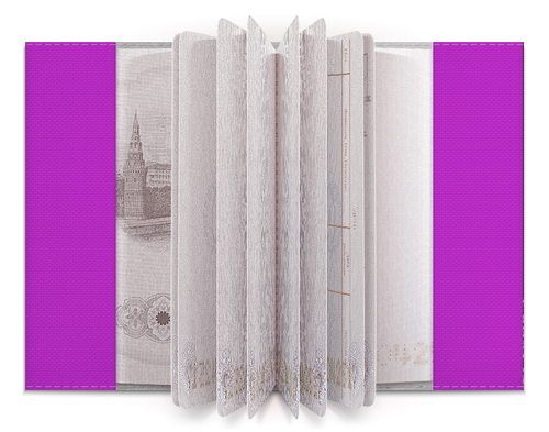 Заказать обложку для паспорта в Москве. Обложка для паспорта Композиция от esse - готовые дизайны и нанесение принтов.