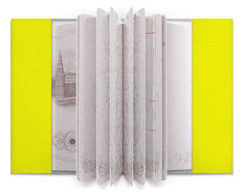 Заказать обложку для паспорта в Москве. Обложка для паспорта Кокопелли от Soluvel  - готовые дизайны и нанесение принтов.