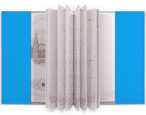 Заказать обложку для паспорта в Москве. Обложка для паспорта Снегурочка от Екатерина Смирнова - готовые дизайны и нанесение принтов.