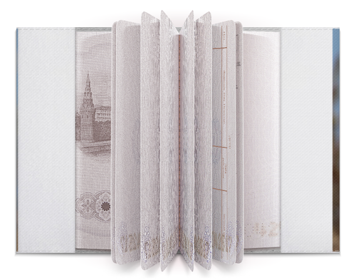 Заказать обложку для паспорта в Москве. Обложка для паспорта Бабочка Махаон от ohana96@yandex.ru - готовые дизайны и нанесение принтов.