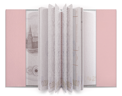 Заказать обложку для паспорта в Москве. Обложка для паспорта Moon Princess от Катя Муу - готовые дизайны и нанесение принтов.