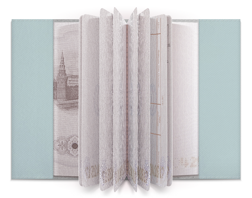Заказать обложку для паспорта в Москве. Обложка для паспорта Мечты о полете от IrinkaArt  - готовые дизайны и нанесение принтов.
