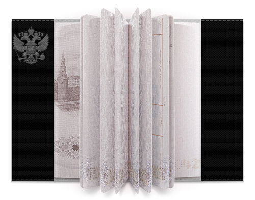 Заказать обложку для паспорта в Москве. Обложка для паспорта МУЗЫКА. MONSTERS ROCK от robus - готовые дизайны и нанесение принтов.