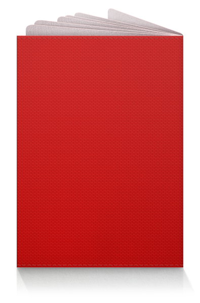 Заказать обложку для паспорта в Москве. Обложка для паспорта Арсенал от geekbox - готовые дизайны и нанесение принтов.
