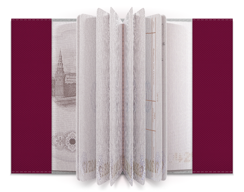 Заказать обложку для паспорта в Москве. Обложка для паспорта Современник 1 от MN - готовые дизайны и нанесение принтов.