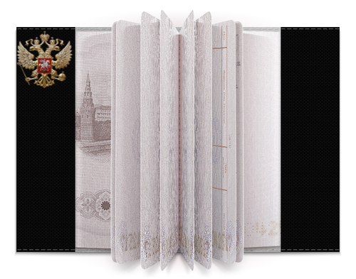 Заказать обложку для паспорта в Москве. Обложка для паспорта МУЗЫКА. HARD ROCK от robus - готовые дизайны и нанесение принтов.