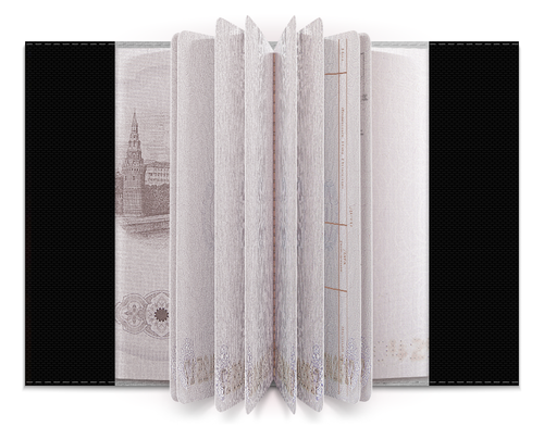 Заказать обложку для паспорта в Москве. Обложка для паспорта Следуй за светом от Лада Алексеева - готовые дизайны и нанесение принтов.