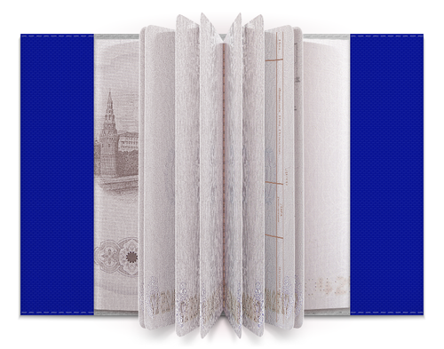 Заказать обложку для паспорта в Москве. Обложка для паспорта Millwall Russian Lions passport от Millwall Supporters Club Russia - готовые дизайны и нанесение принтов.