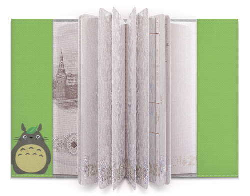 Заказать обложку для паспорта в Москве. Обложка для паспорта Тоторо от crash - готовые дизайны и нанесение принтов.