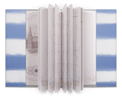 Заказать обложку для паспорта в Москве. Обложка для паспорта Маяк в Каннах от ElenaE  - готовые дизайны и нанесение принтов.