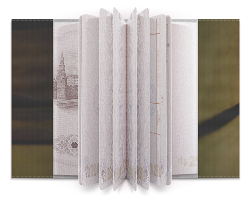 Заказать обложку для паспорта в Москве. Обложка для паспорта Хэллоуин от FireFoxa - готовые дизайны и нанесение принтов.