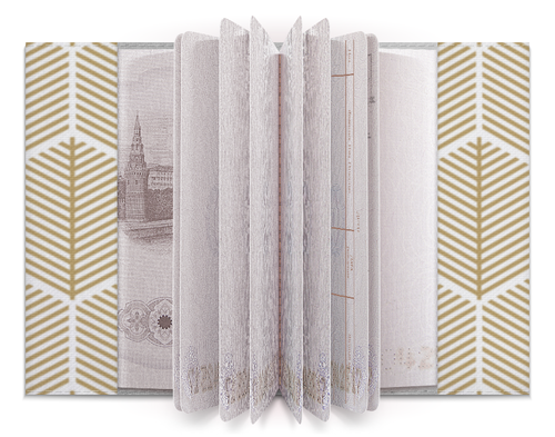 Заказать обложку для паспорта в Москве. Обложка для паспорта Шестиузорник от Polilog - готовые дизайны и нанесение принтов.