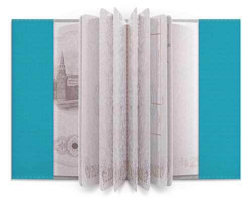 Заказать обложку для паспорта в Москве. Обложка для паспорта Грусть тоска съедает от Severnyvolk - готовые дизайны и нанесение принтов.