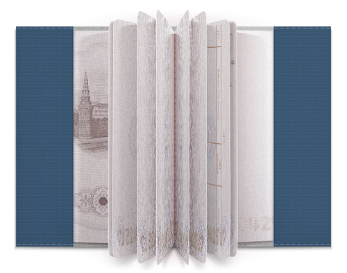 Заказать обложку для паспорта в Москве. Обложка для паспорта Чапаев и Че Гевара от Рустам Юсупов - готовые дизайны и нанесение принтов.