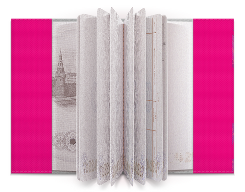 Заказать обложку для паспорта в Москве. Обложка для паспорта Ярило. от Eva De Peron.  - готовые дизайны и нанесение принтов.