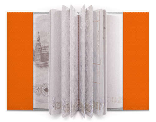 Заказать обложку для паспорта в Москве. Обложка для паспорта Wu - Tang Clan от Romanova - готовые дизайны и нанесение принтов.
