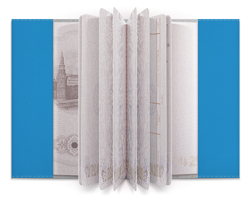 Заказать обложку для паспорта в Москве. Обложка для паспорта Antarctic Humans от Leichenwagen - готовые дизайны и нанесение принтов.