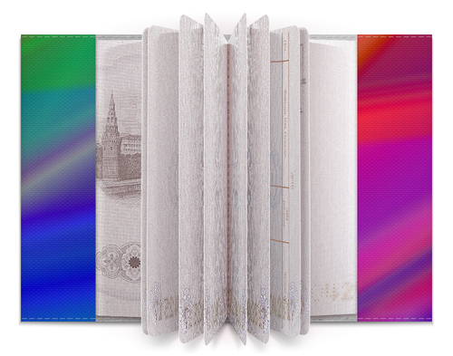 Заказать обложку для паспорта в Москве. Обложка для паспорта TikTok  от DESIGNER   - готовые дизайны и нанесение принтов.
