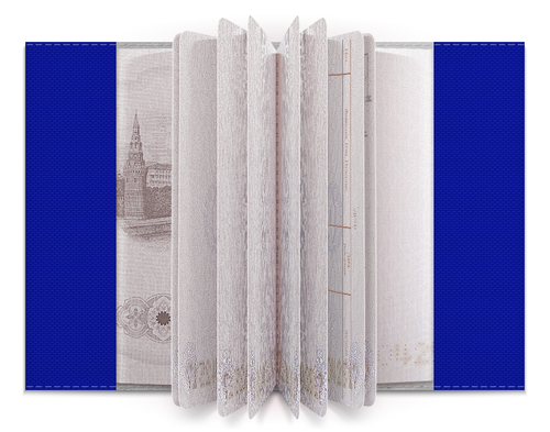 Заказать обложку для паспорта в Москве. Обложка для паспорта Millwall MSC Russia passport от Millwall Supporters Club Russia - готовые дизайны и нанесение принтов.