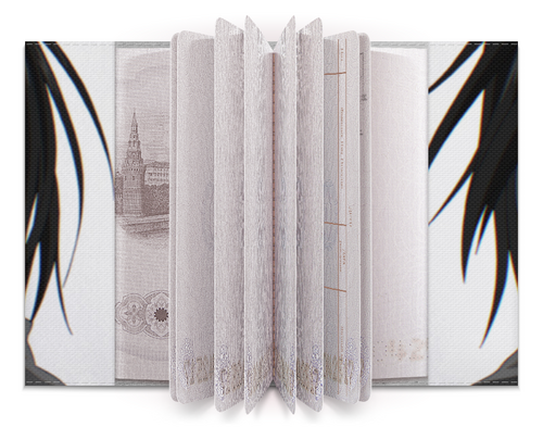 Заказать обложку для паспорта в Москве. Обложка для паспорта Бездомный бог (Ято) от GeekFox  - готовые дизайны и нанесение принтов.