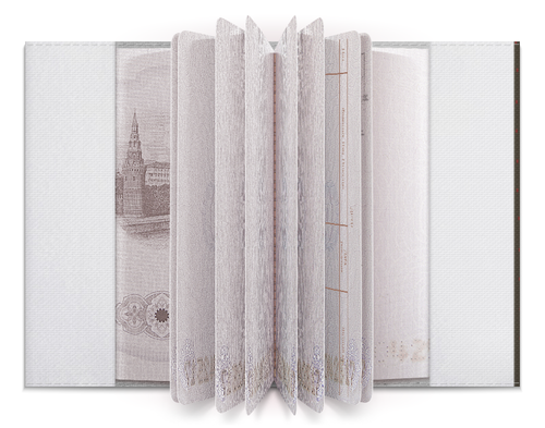 Заказать обложку для паспорта в Москве. Обложка для паспорта Совушки от Franka  - готовые дизайны и нанесение принтов.