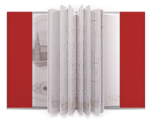 Заказать обложку для паспорта в Москве. Обложка для паспорта Fallout от mrmaximus - готовые дизайны и нанесение принтов.