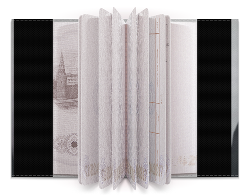 Заказать обложку для паспорта в Москве. Обложка для паспорта Nun - 1 от Vladec11 - готовые дизайны и нанесение принтов.