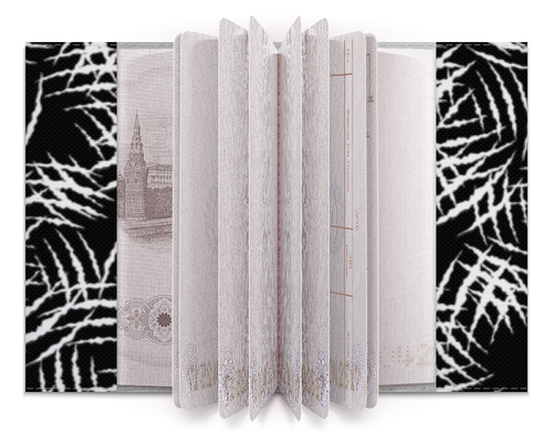 Заказать обложку для паспорта в Москве. Обложка для паспорта Цап царапыч от Soluvel  - готовые дизайны и нанесение принтов.