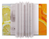 Заказать обложку для паспорта в Москве. Обложка для паспорта Лимоны и  апельсины от Анастасия Березовская - готовые дизайны и нанесение принтов.