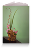 Заказать обложку для паспорта в Москве. Обложка для паспорта Икебана / Ikebana от Ikebana - готовые дизайны и нанесение принтов.