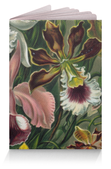 Заказать обложку для паспорта в Москве. Обложка для паспорта Орхидеи (Orchideae, Ernst Haeckel) от Apfelbaum - готовые дизайны и нанесение принтов.