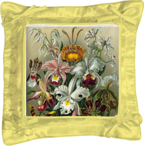 Заказать подушку в Москве. Подушка простая Орхидеи (Orchideae, Ernst Haeckel) от Apfelbaum - готовые дизайны и нанесение принтов.