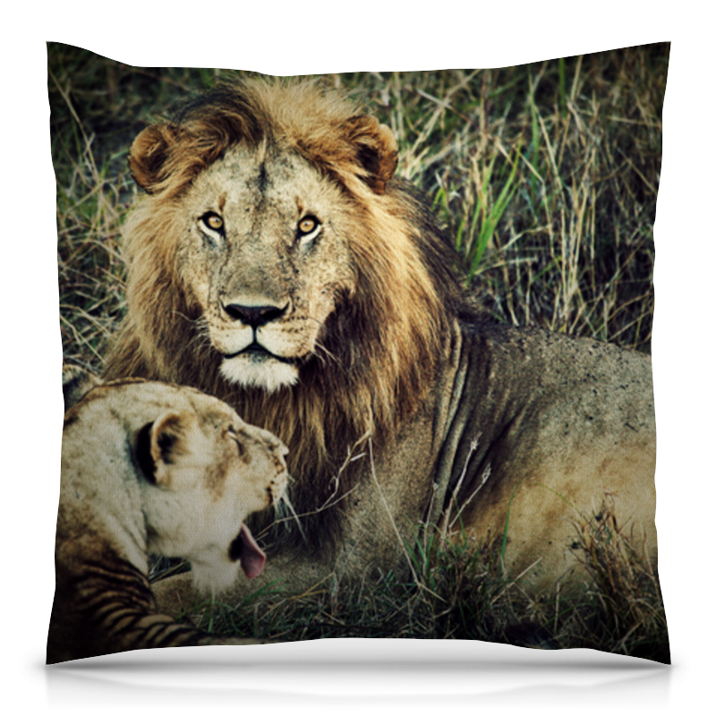 Printio Подушка 40x40 см с полной запечаткой Лев и львица printio футболка с полной запечаткой мужская лев и львица