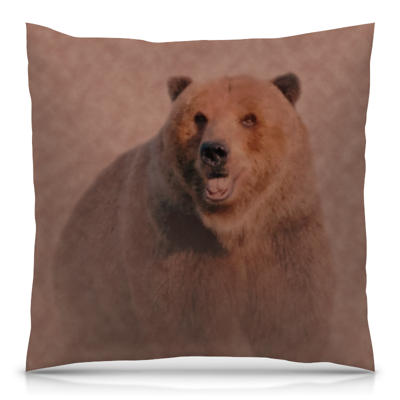 Printio Подушка 40x40 см с полной запечаткой Медведь подушка в виде медведя 40 см