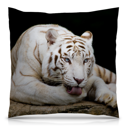 Заказать подушку в Москве. Подушка 40x40 см с полной запечаткой Белый тигр от THE_NISE  - готовые дизайны и нанесение принтов.