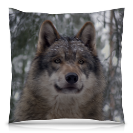 Заказать подушку в Москве. Подушка 40x40 см с полной запечаткой Волк в лесу от weeert - готовые дизайны и нанесение принтов.