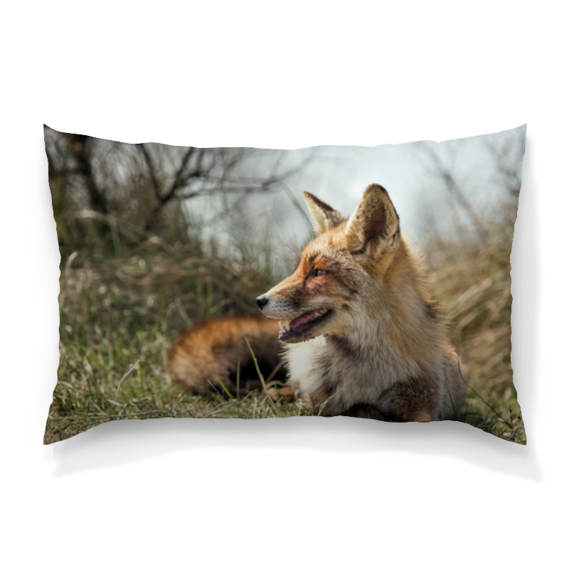 30 fox. Подушка лиса длинная. Серая подушка лисица. Классика лиса. Скатерть с животными лисы.