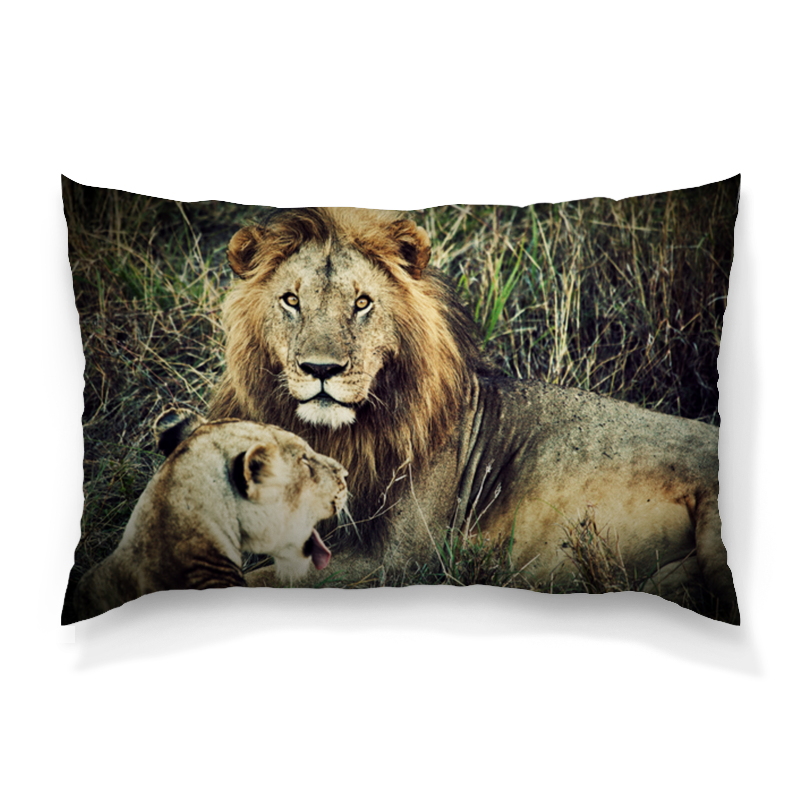 Printio Подушка 60x40 см с полной запечаткой Лев и львица printio футболка с полной запечаткой мужская лев и львица