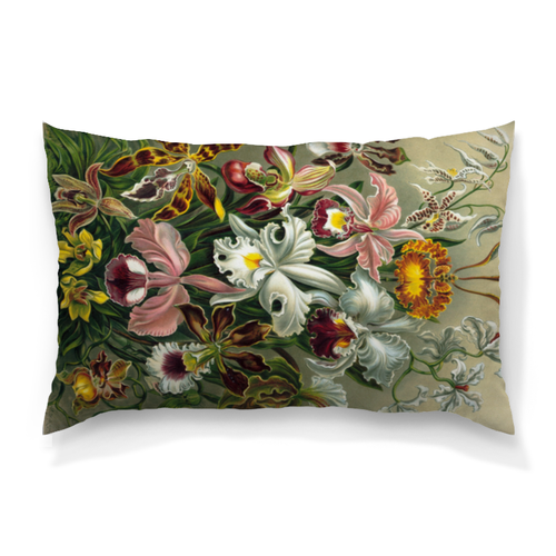 Заказать подушку в Москве. Подушка 60x40 см с полной запечаткой Орхидеи (Orchideae, Ernst Haeckel) от Apfelbaum - готовые дизайны и нанесение принтов.