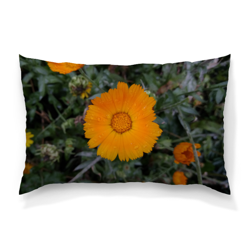 Заказать подушку в Москве. Подушка 60x40 см с полной запечаткой Летние цветы (двусторонняя печать) от FireFoxa - готовые дизайны и нанесение принтов.