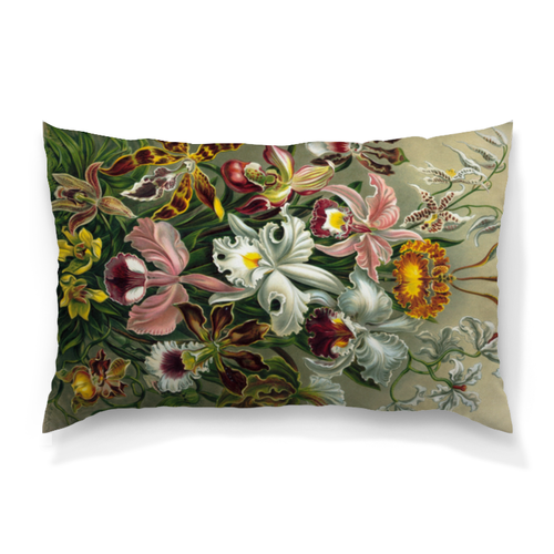 Заказать подушку в Москве. Подушка 60x40 см с полной запечаткой Орхидеи (Orchideae, Ernst Haeckel) от Apfelbaum - готовые дизайны и нанесение принтов.