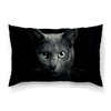 Заказать подушку в Москве. Подушка 60x40 см с полной запечаткой Серый кот от THE_NISE  - готовые дизайны и нанесение принтов.