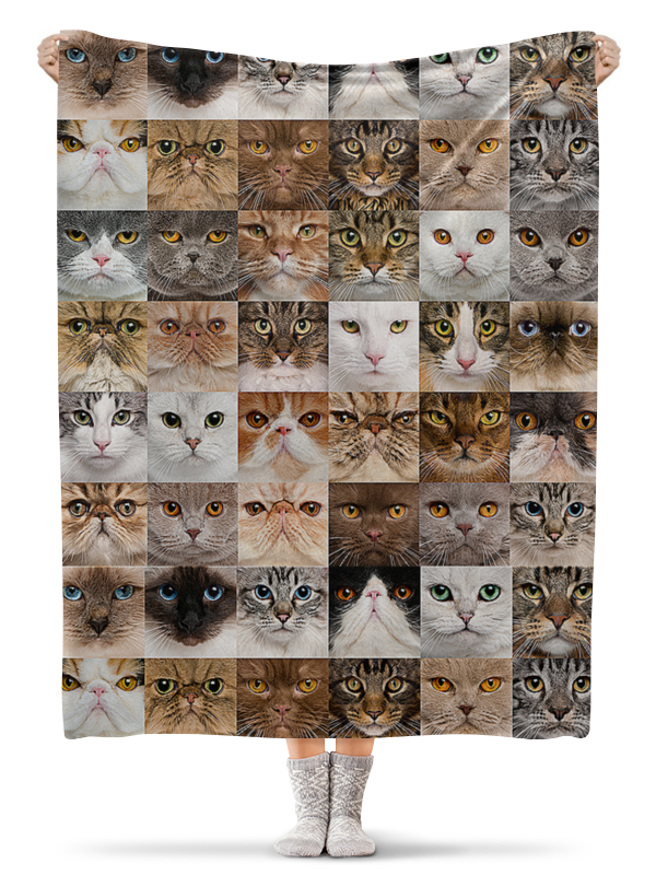 Printio Плед флисовый 130×170 см Кошки printio плед флисовый 130×170 см кошки