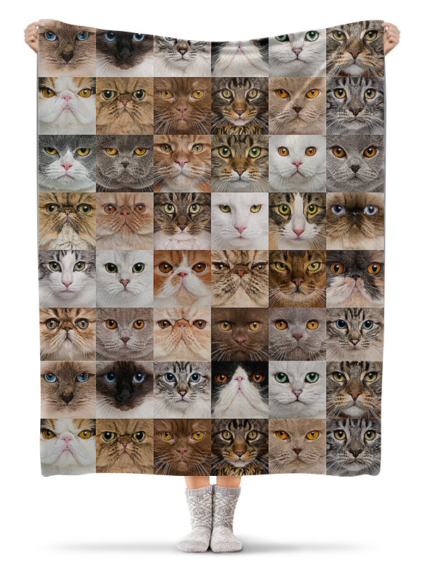 Printio Плед флисовый 130×170 см Кошки. креатив printio плед флисовый 130×170 см кошки