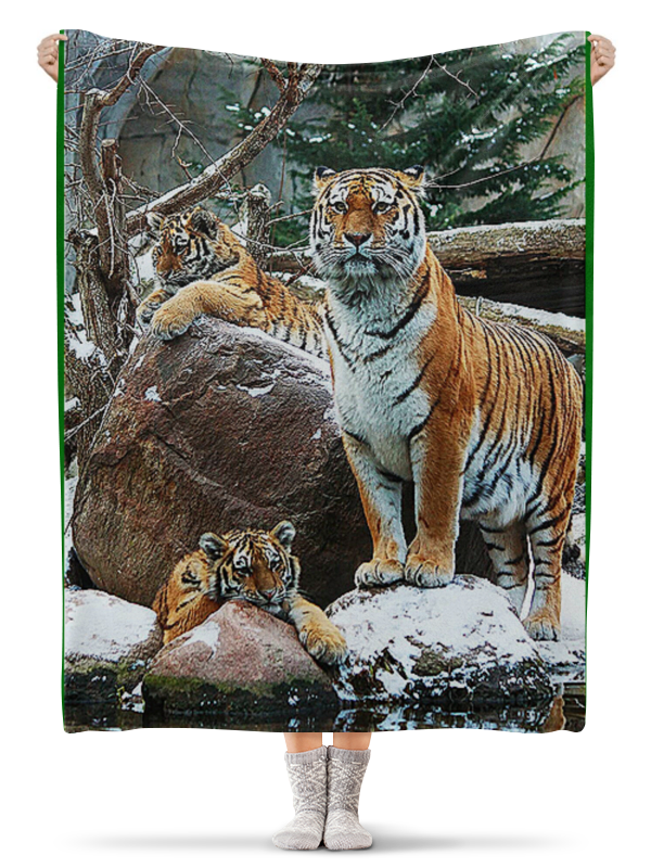 Printio Плед флисовый 130×170 см Тигры. живая природа